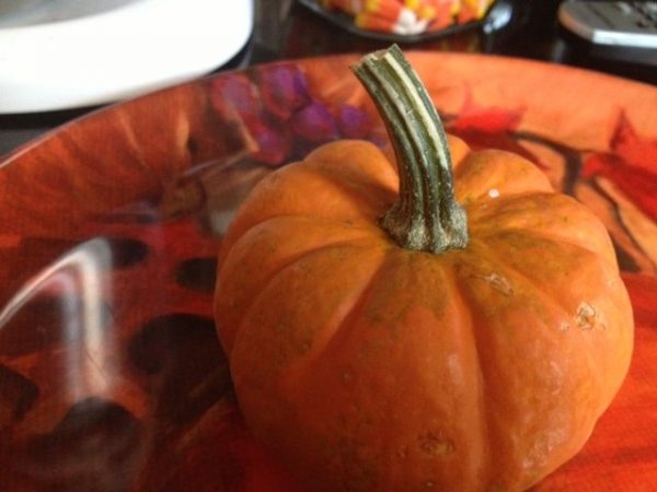Crockpot Smashed Potatoes with Pumpkin Cream Cheese Cheftini
