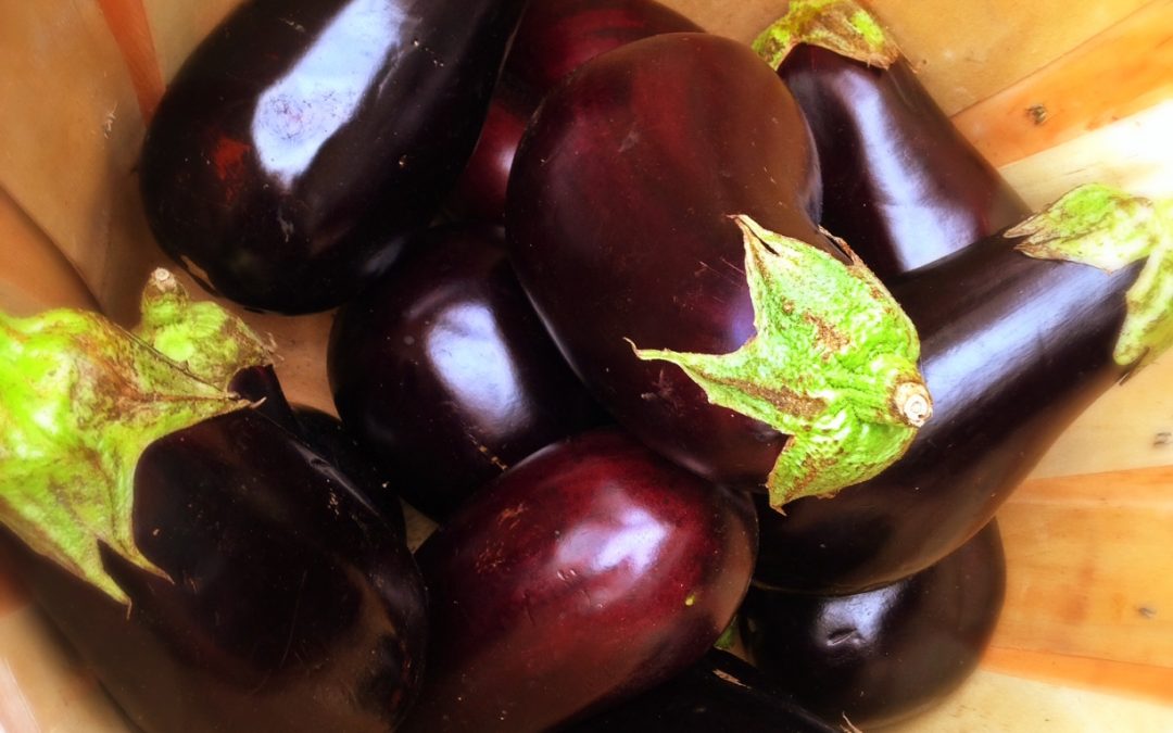 Pick the Perfect Eggplant