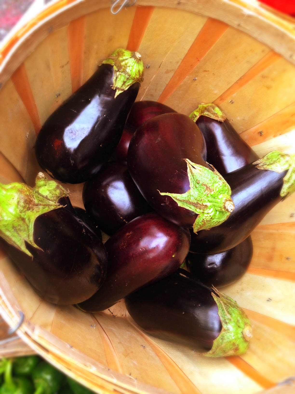 Picking the Perfect Eggplant