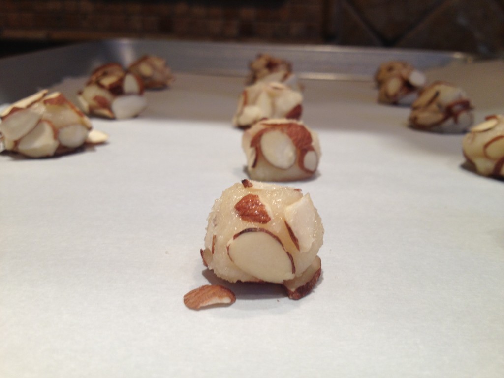Italian Almond Cookie Balls