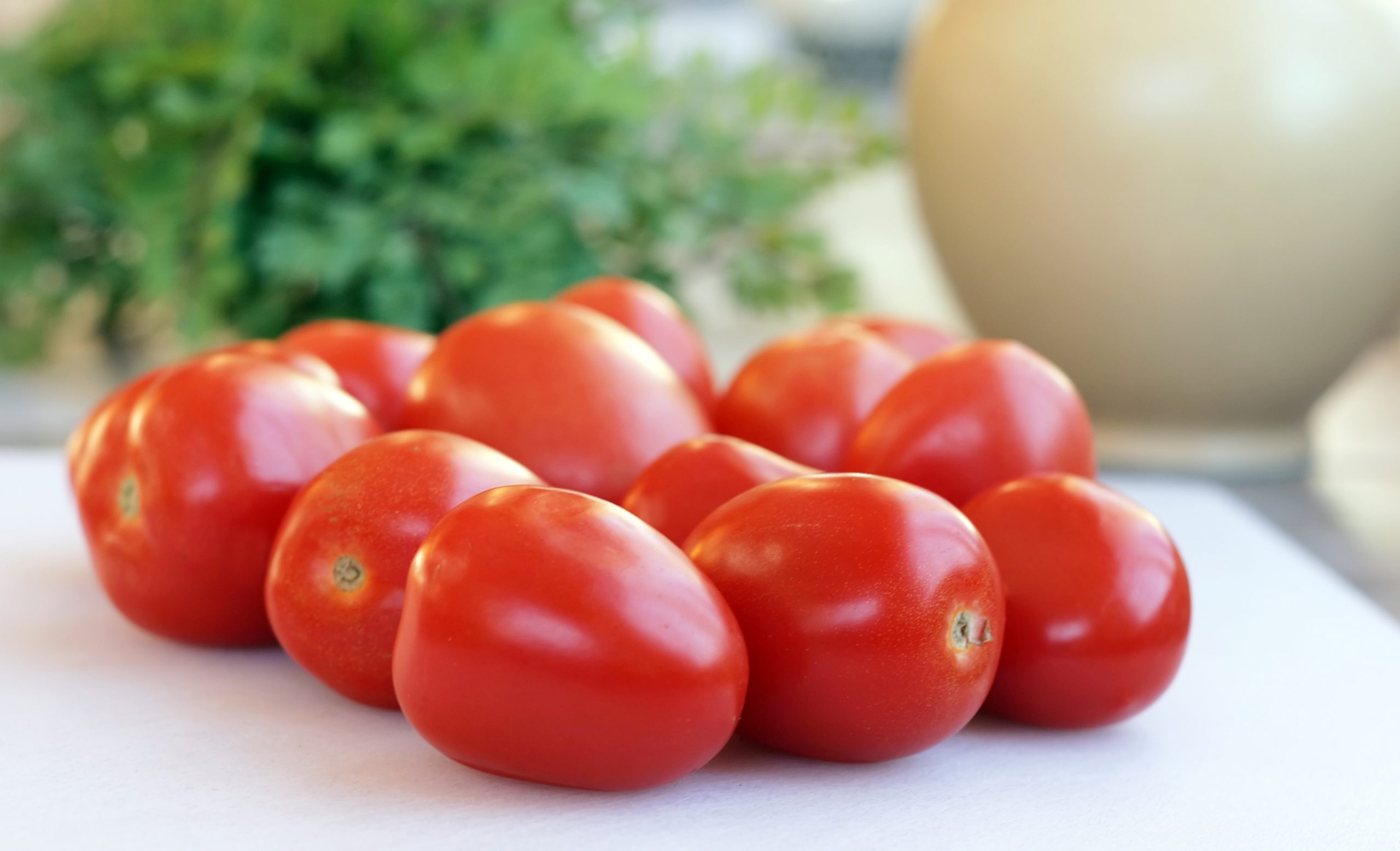 puff pastry tomato tarts